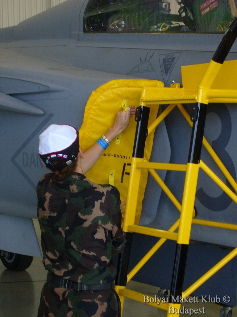 gripen_220.jpg