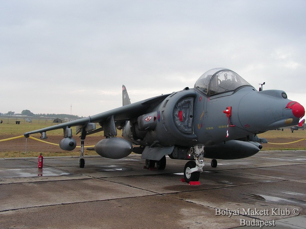harrier_002.jpg
