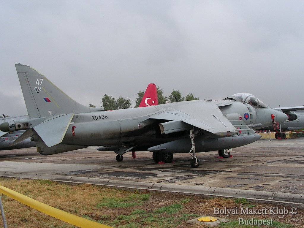harrier_004.jpg