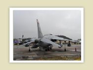 harrier_007.jpg