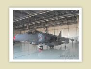harrier_010.jpg