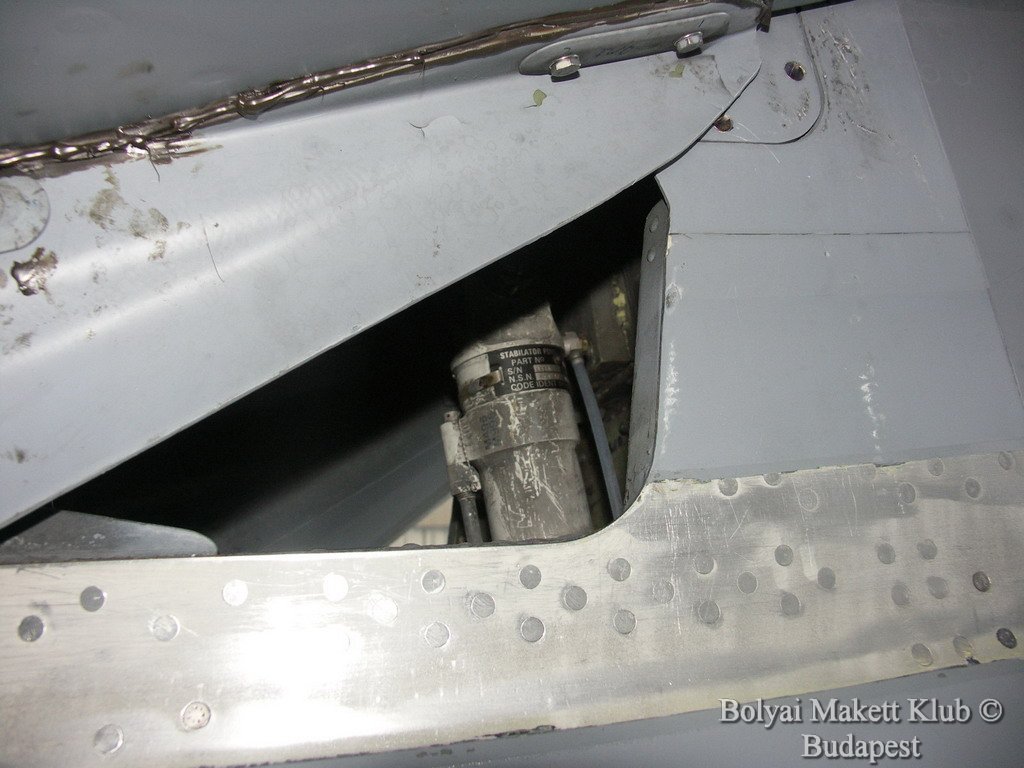 harrier_012.jpg