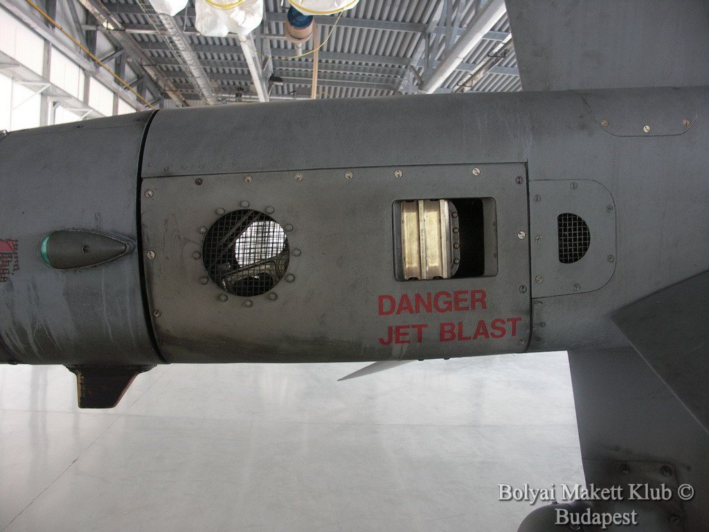 harrier_013.jpg