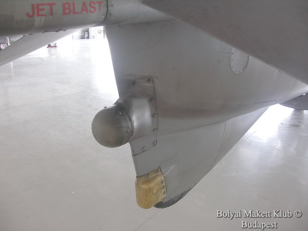 harrier_014.jpg