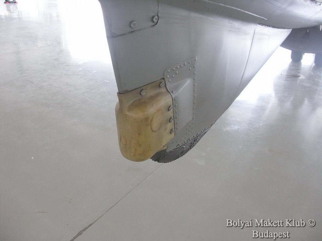 harrier_015.jpg
