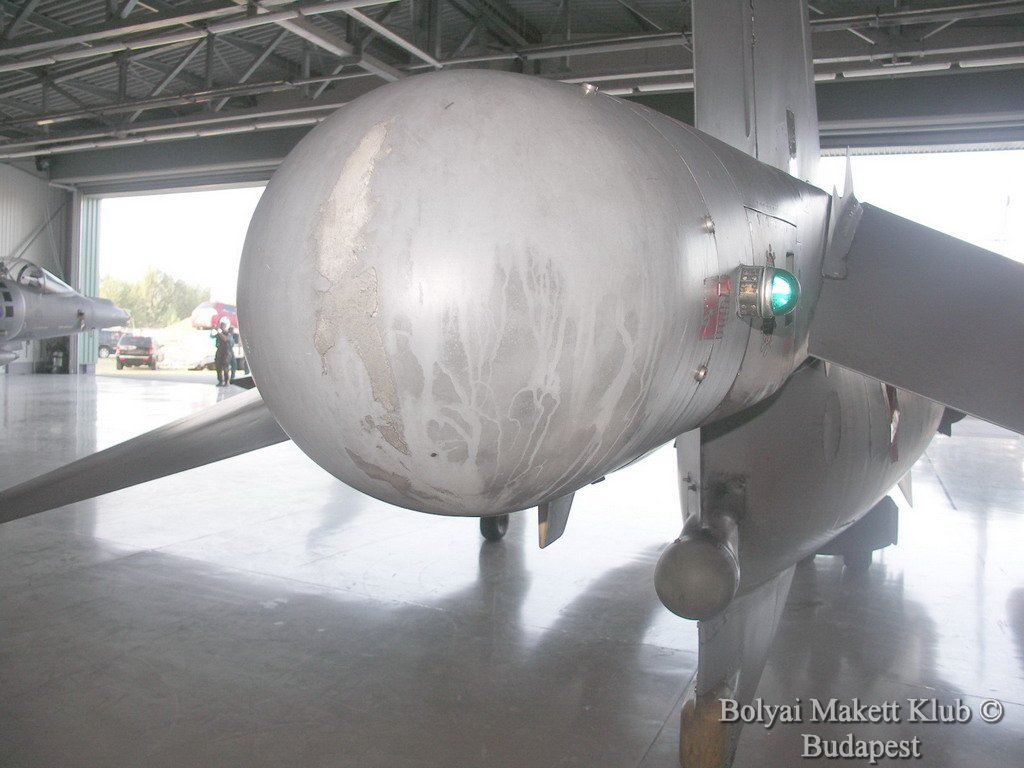 harrier_016.jpg
