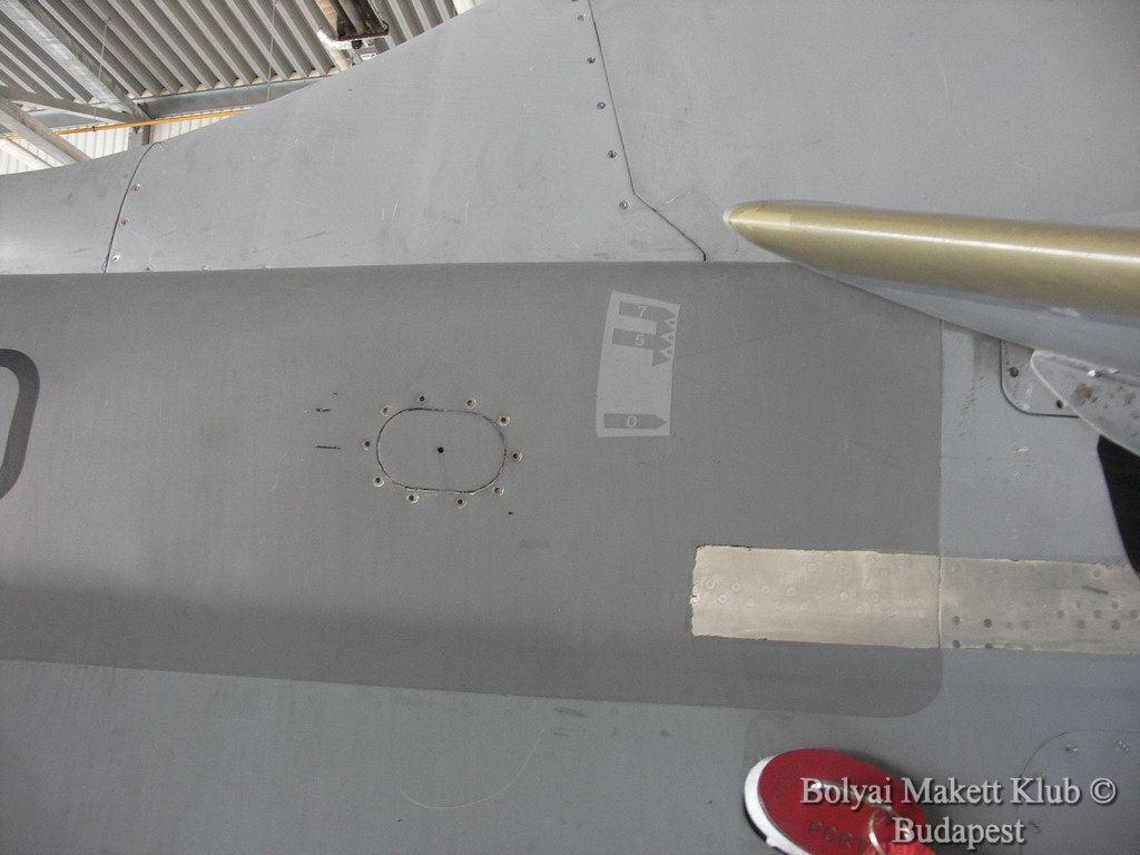 harrier_020.jpg