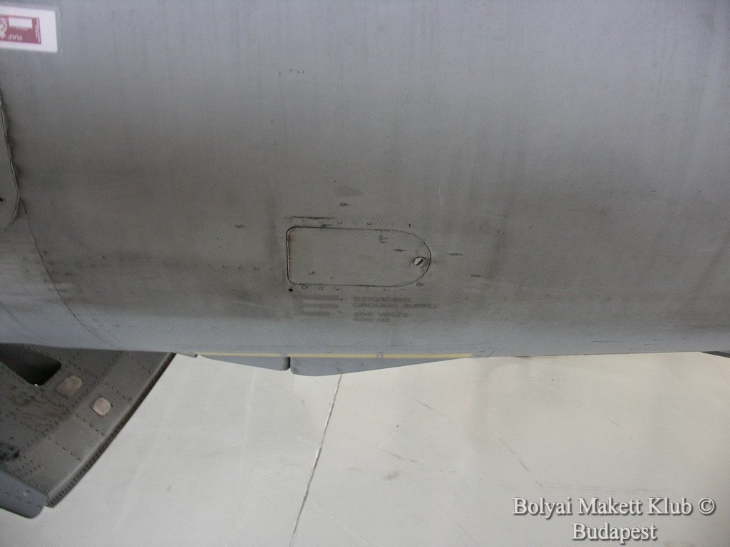 harrier_021.jpg