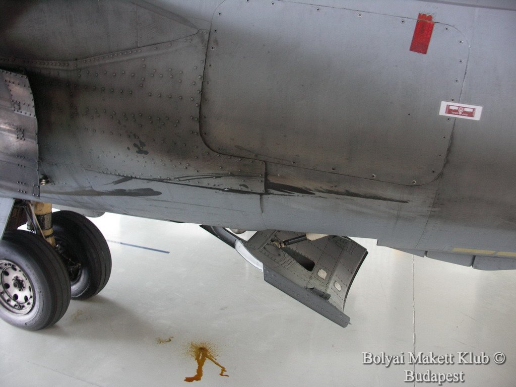 harrier_022.jpg