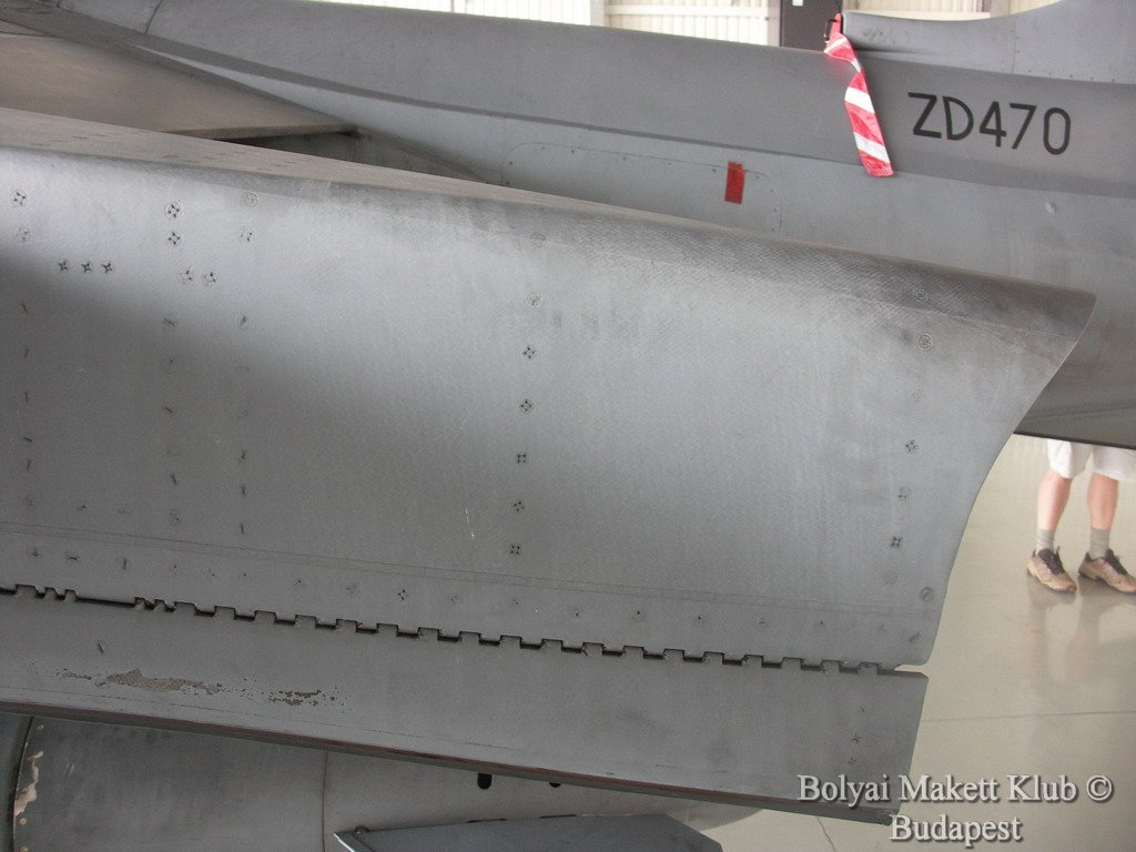 harrier_024.jpg