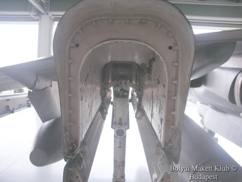 harrier_026.jpg