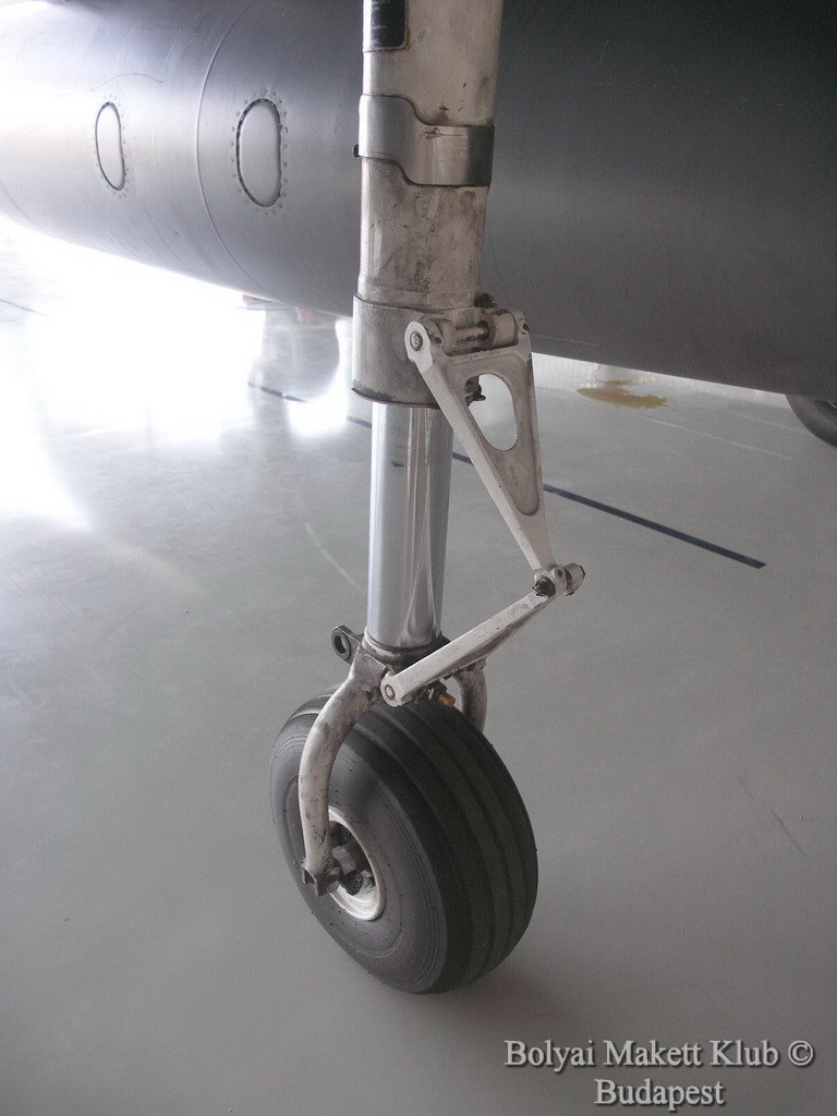 harrier_028.jpg