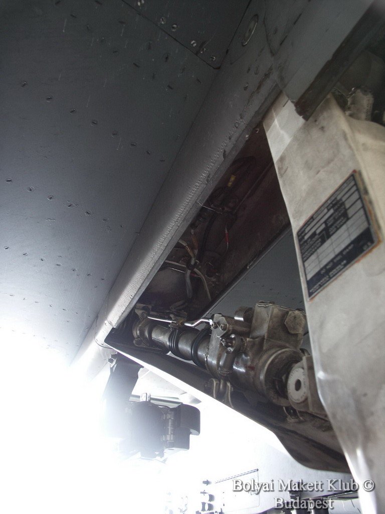 harrier_030.jpg