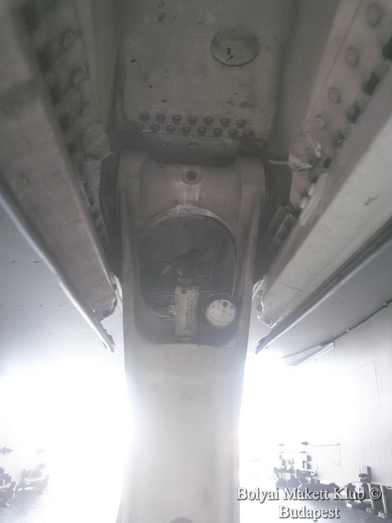 harrier_032.jpg