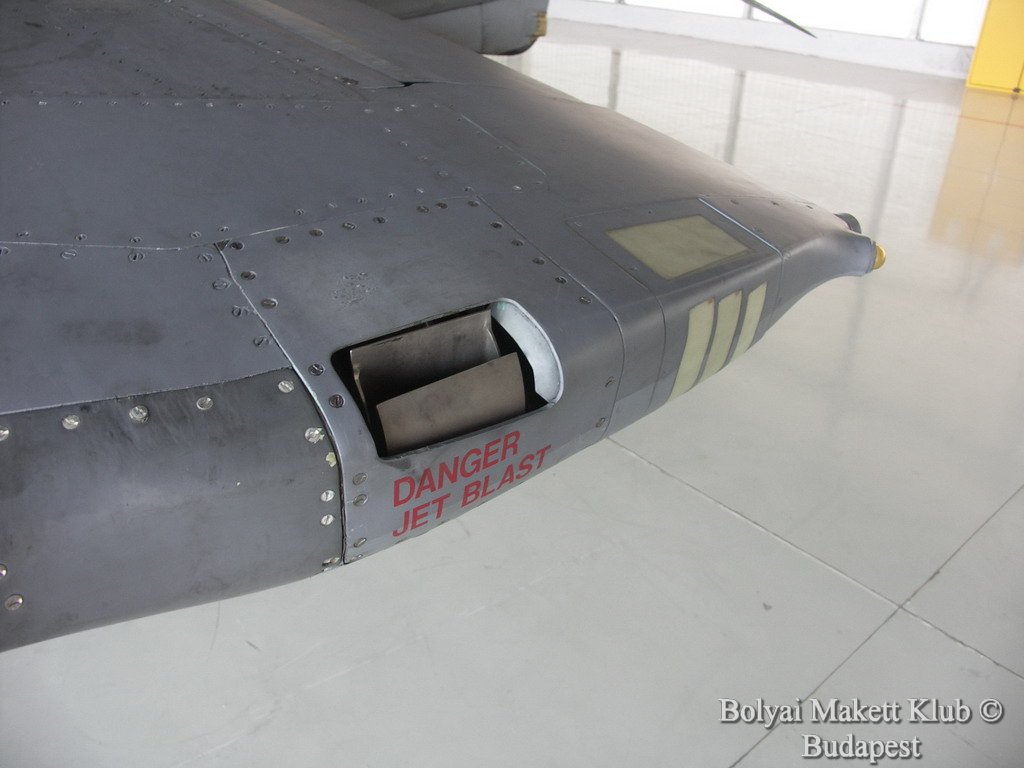 harrier_033.jpg