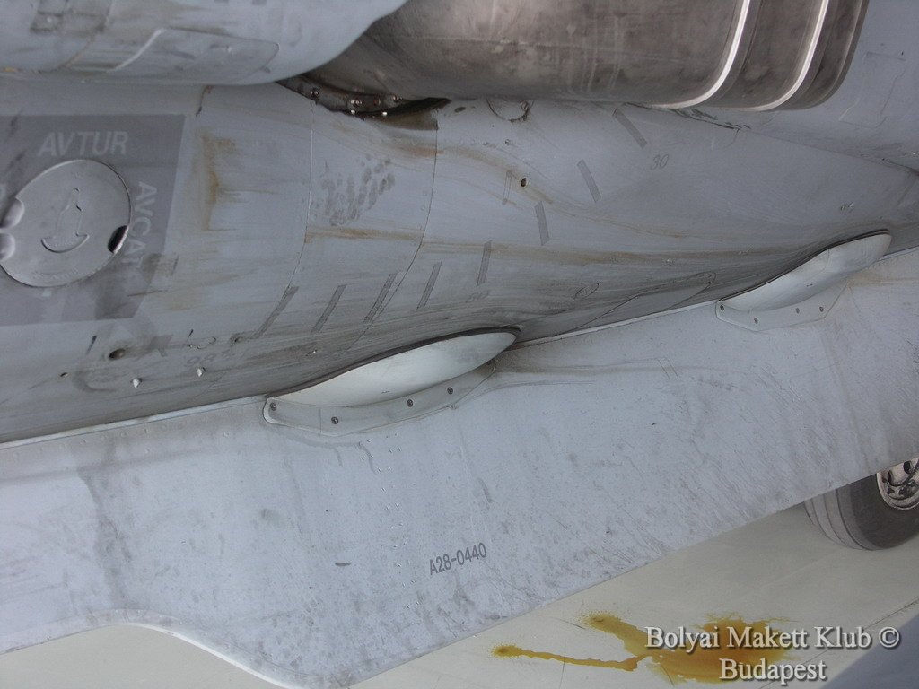 harrier_038.jpg