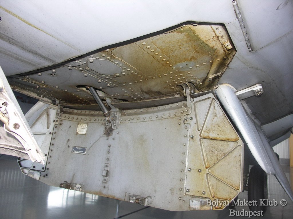 harrier_042.jpg