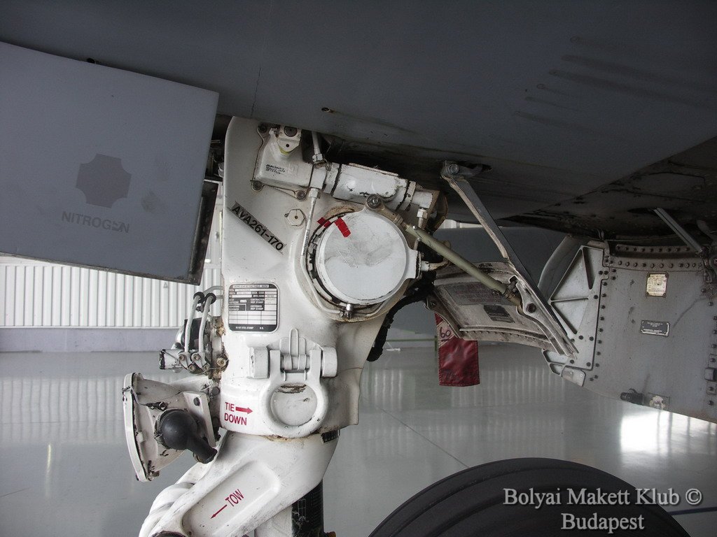 harrier_043.jpg