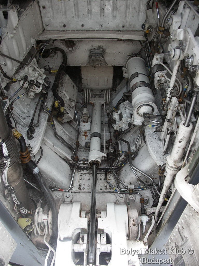 harrier_044.jpg