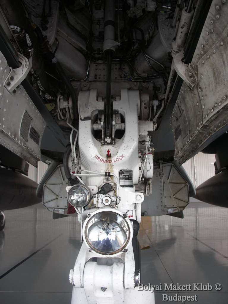 harrier_045.jpg