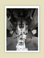 harrier_045.jpg