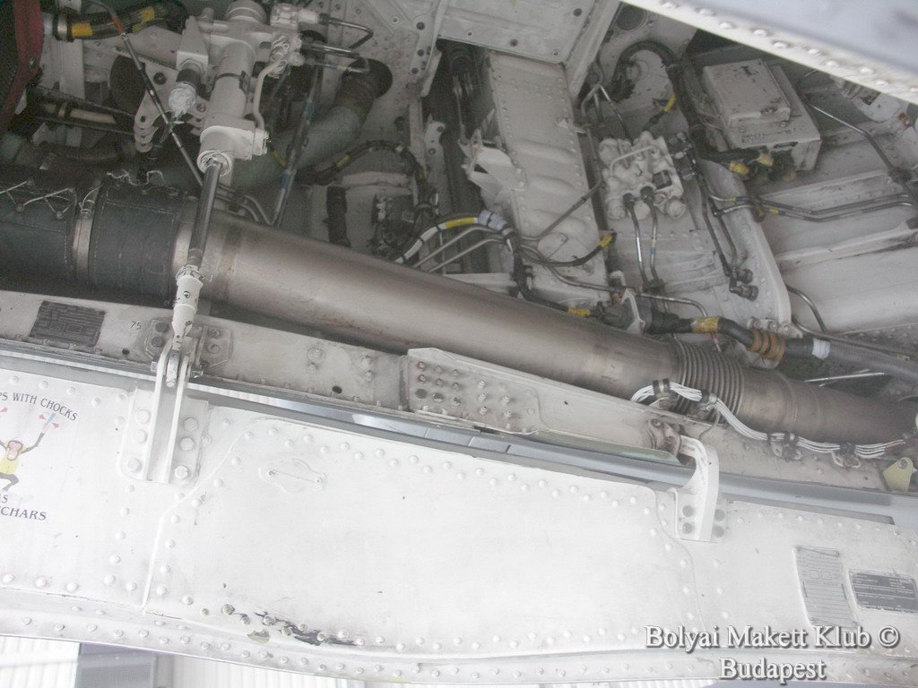 harrier_046.jpg