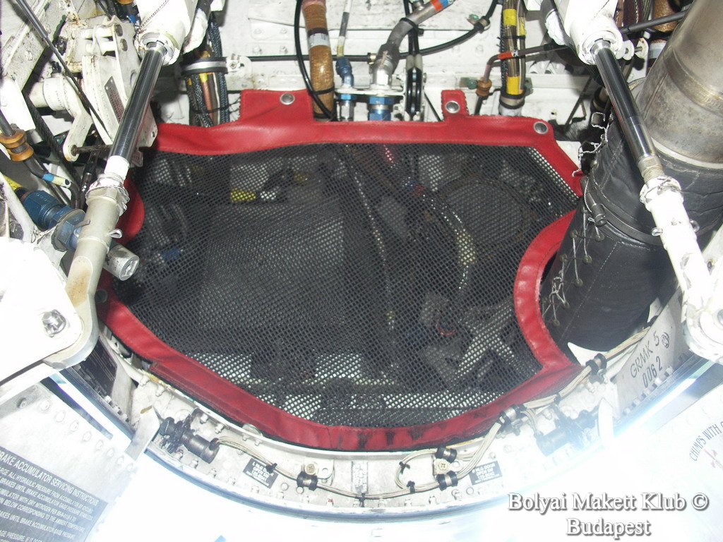 harrier_047.jpg
