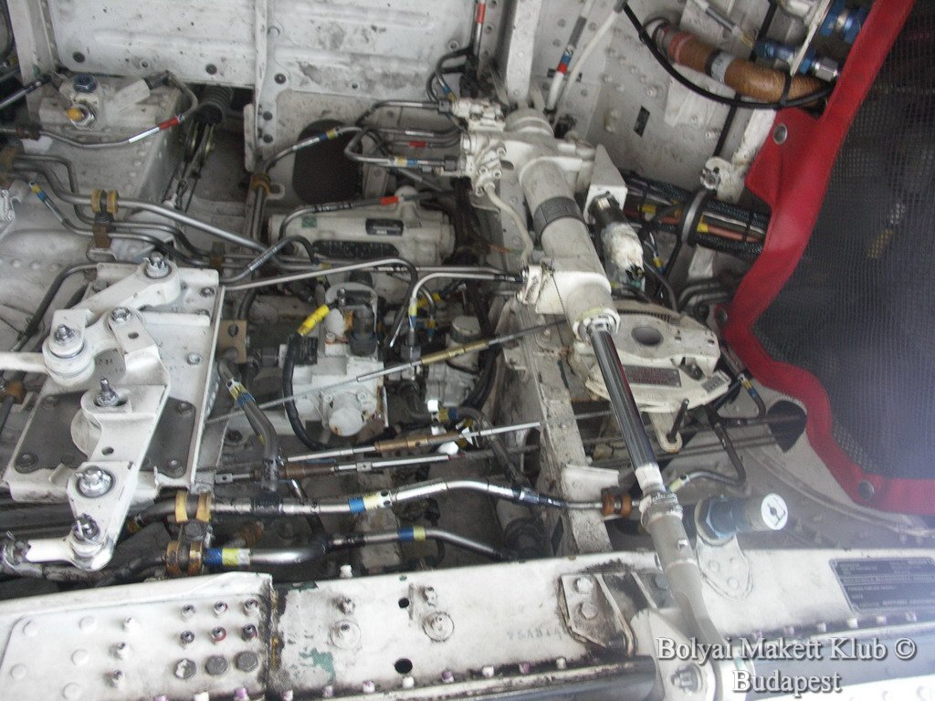 harrier_048.jpg