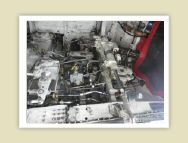 harrier_048.jpg