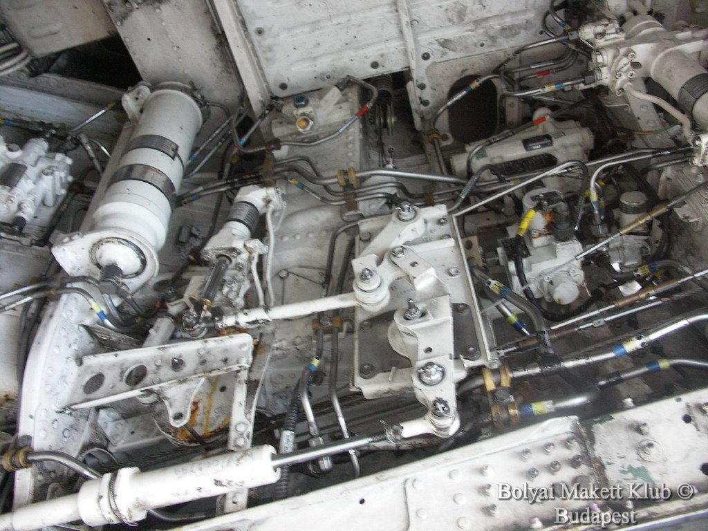 harrier_049.jpg
