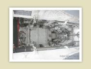 harrier_050.jpg