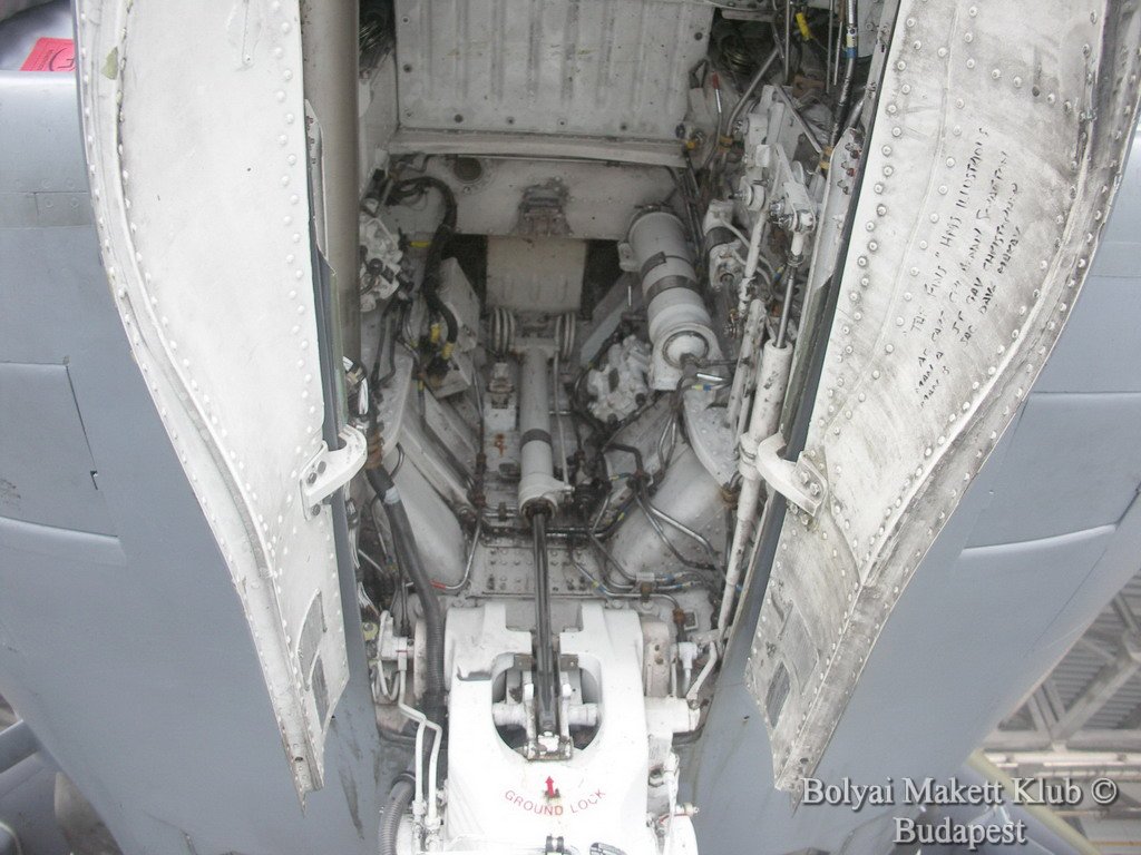 harrier_051.jpg