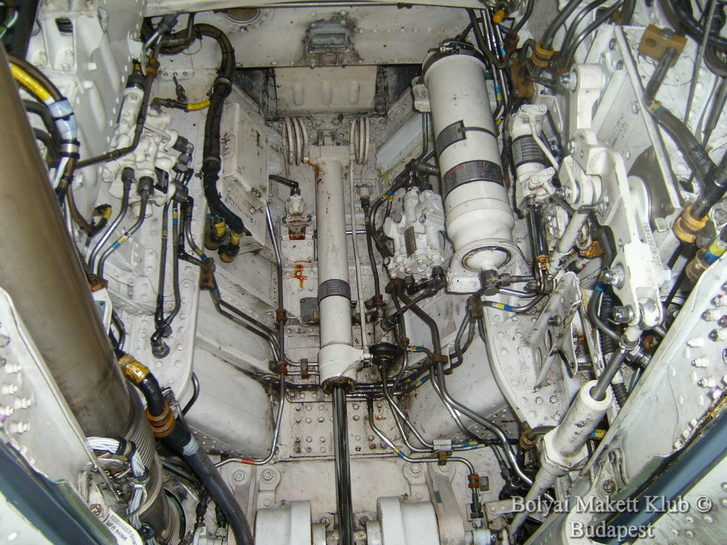 harrier_052.jpg