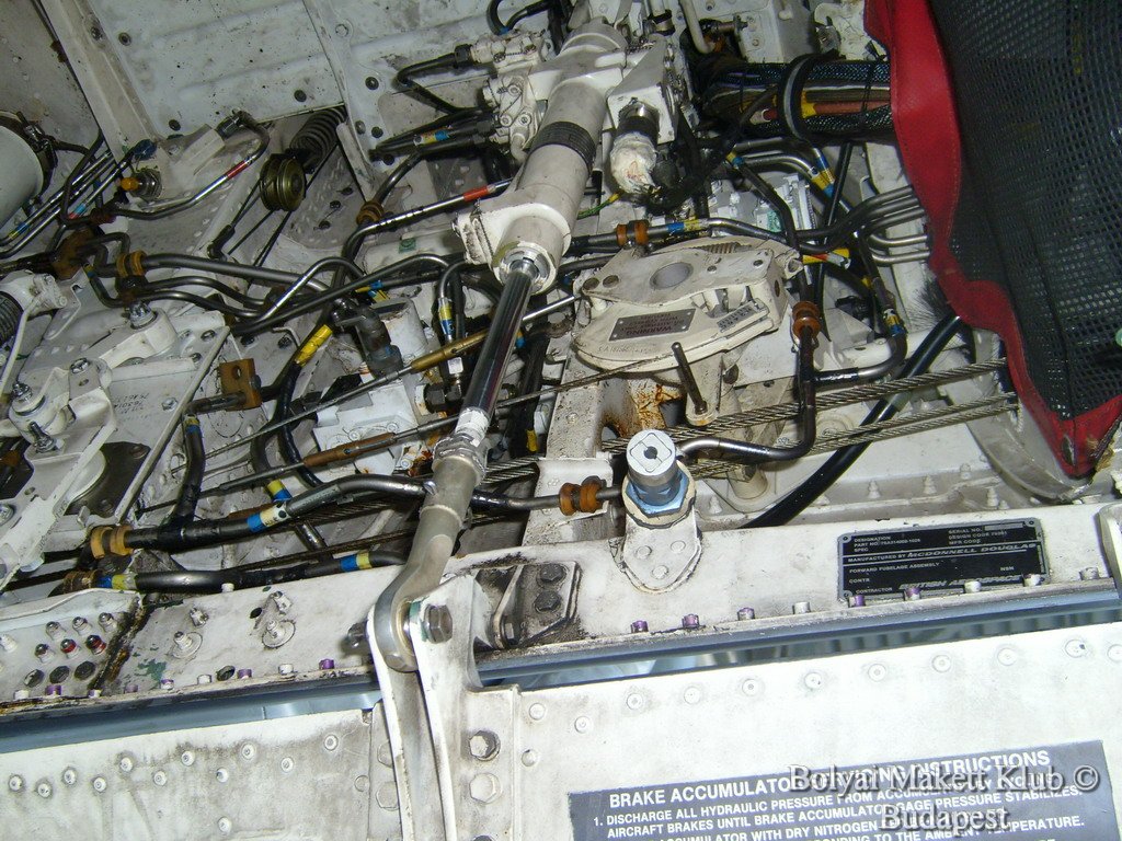 harrier_053.jpg