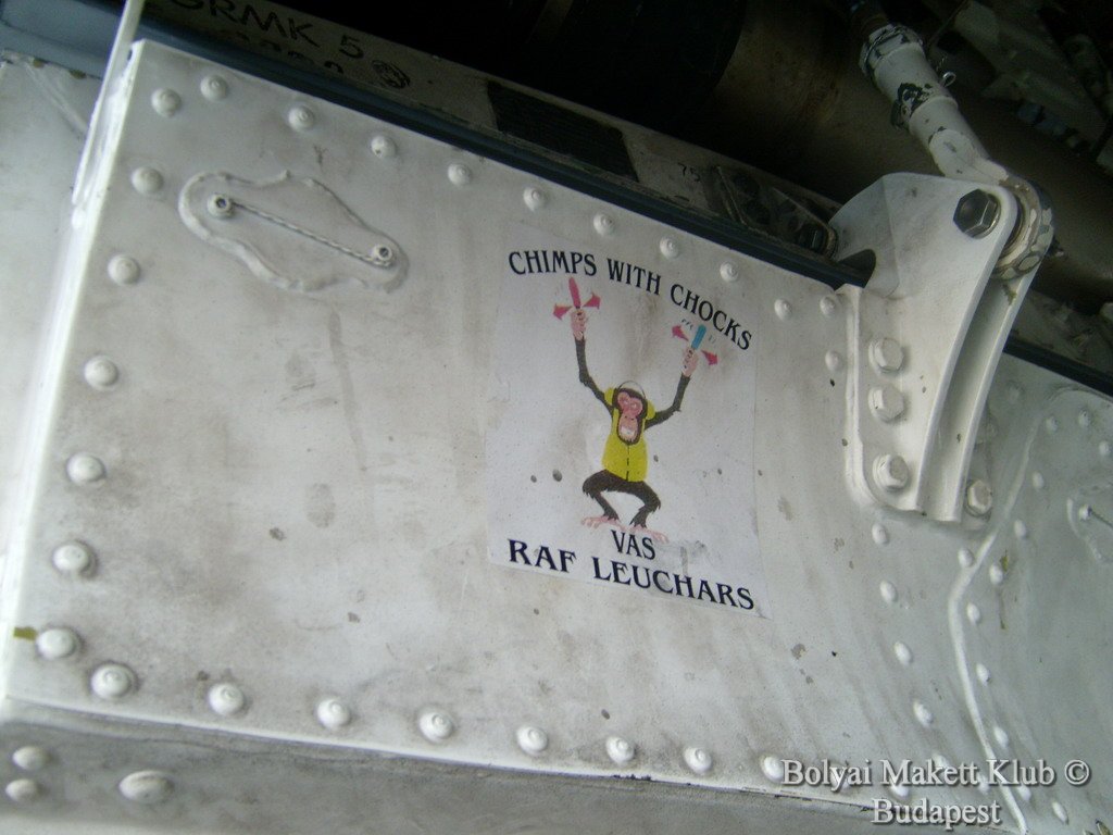 harrier_055.jpg