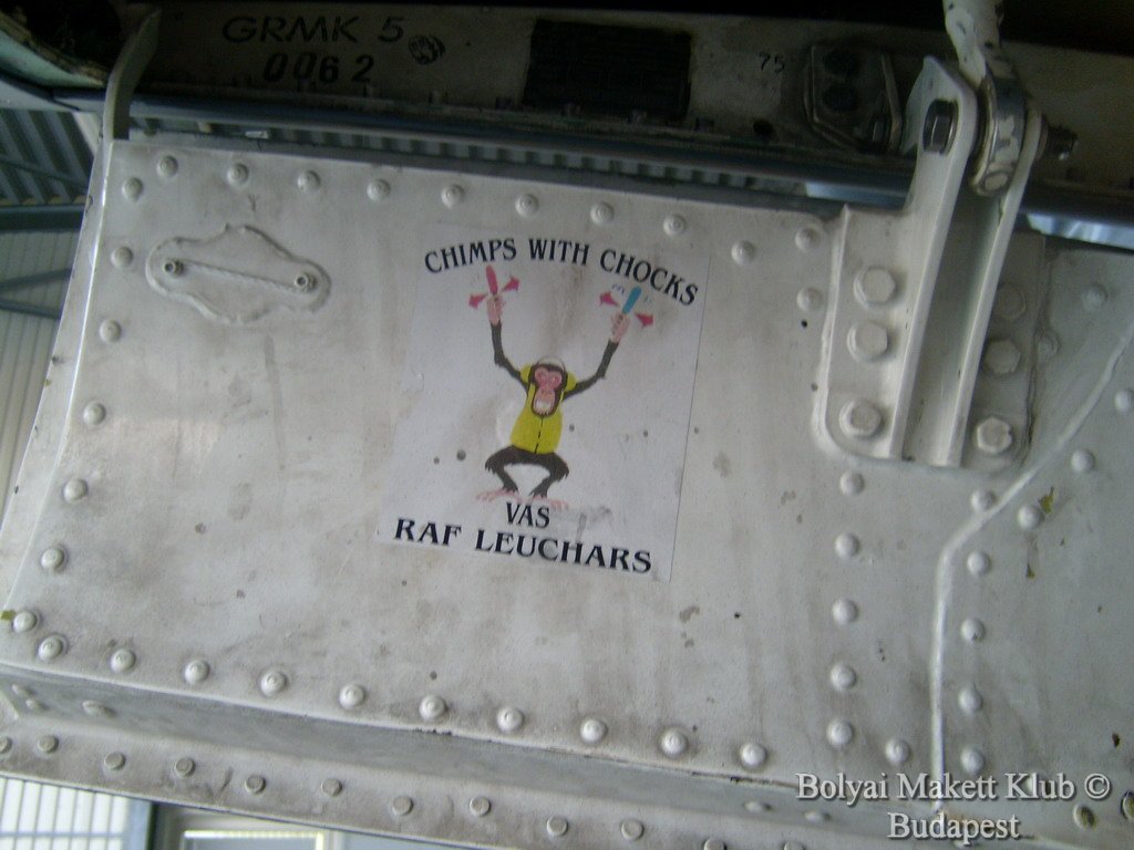 harrier_057.jpg