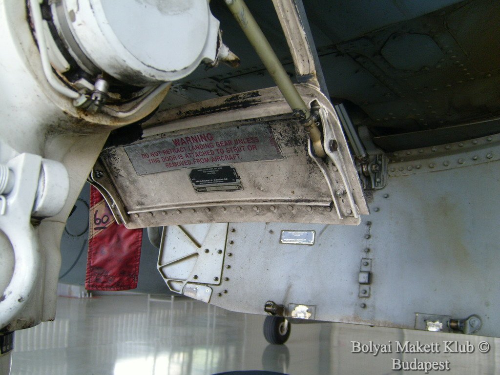 harrier_058.jpg