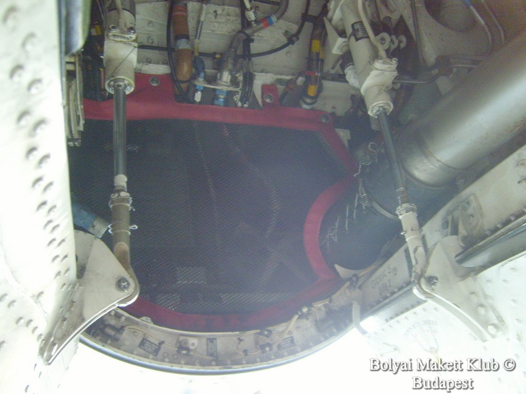 harrier_059.jpg