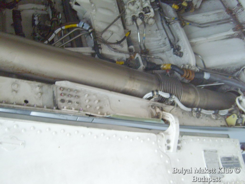 harrier_060.jpg