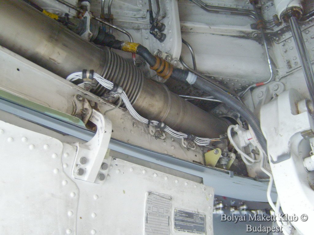 harrier_061.jpg