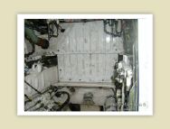 harrier_062.jpg