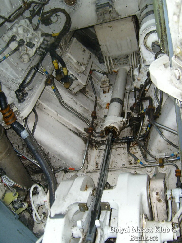 harrier_063.jpg