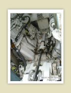 harrier_063.jpg