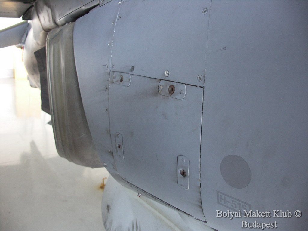 harrier_065.jpg
