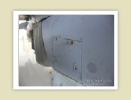 harrier_065.jpg