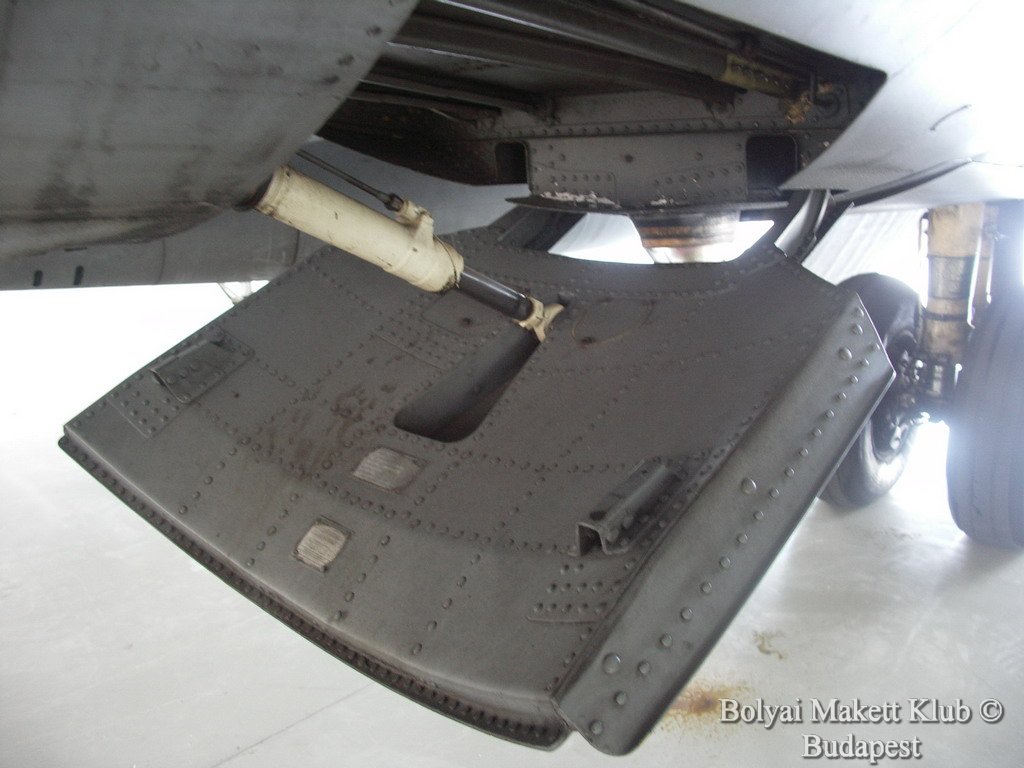 harrier_066.jpg
