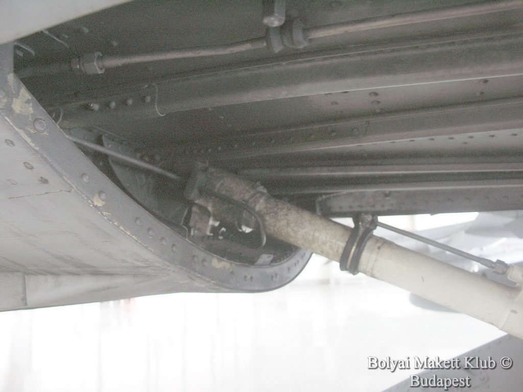 harrier_067.jpg