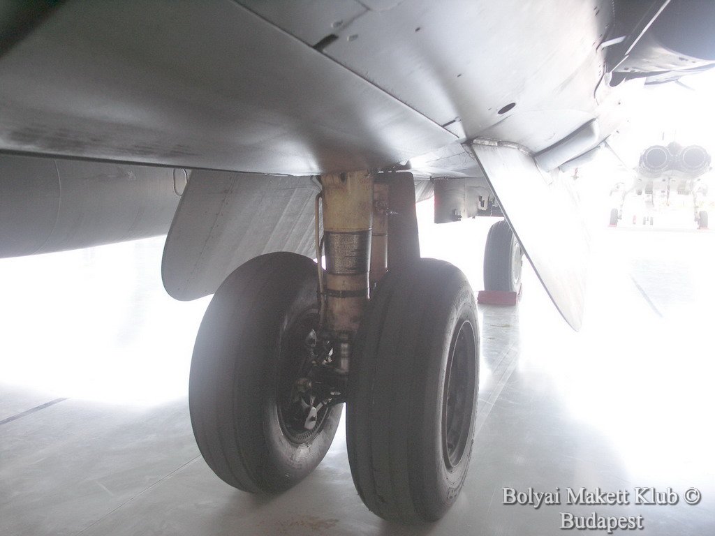 harrier_068.jpg