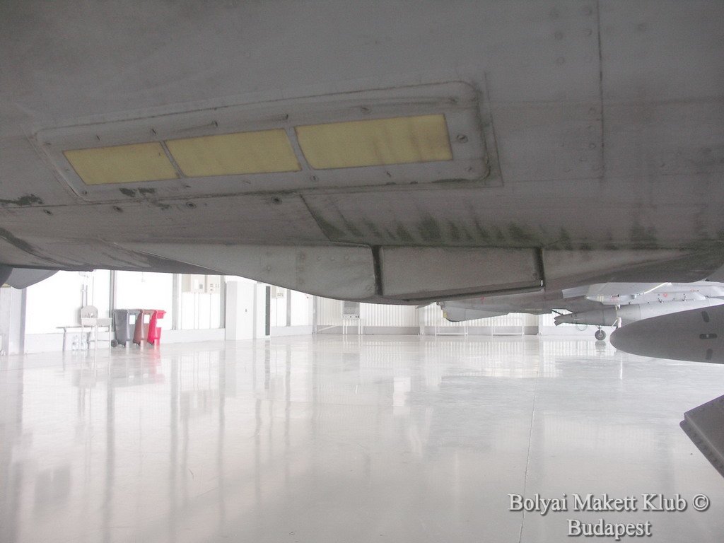 harrier_069.jpg