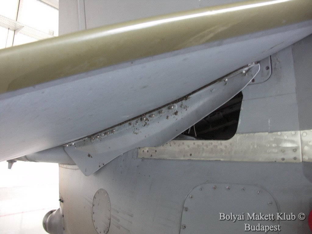 harrier_070.jpg